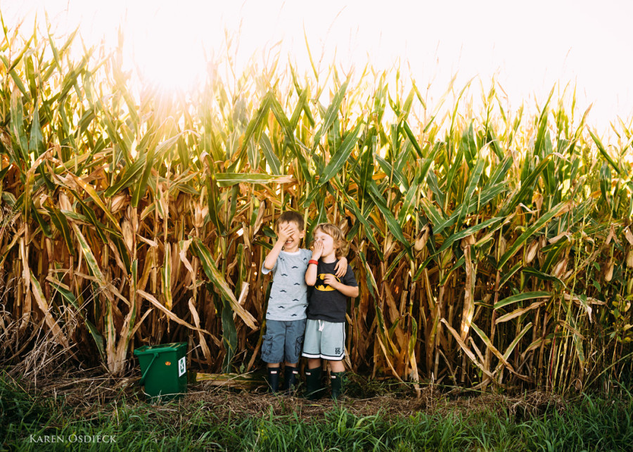 Boys cornfield hide web
