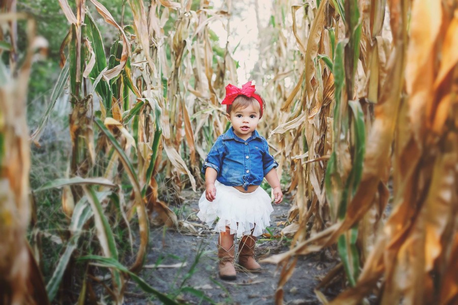 fall kid pictures