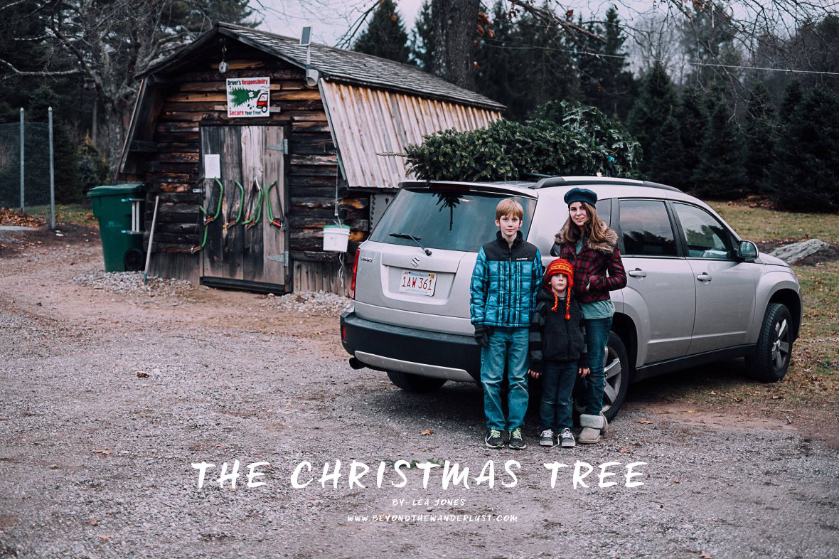 Christmas Session at Minnesota Tree Farm » Beyond The Wanderlust