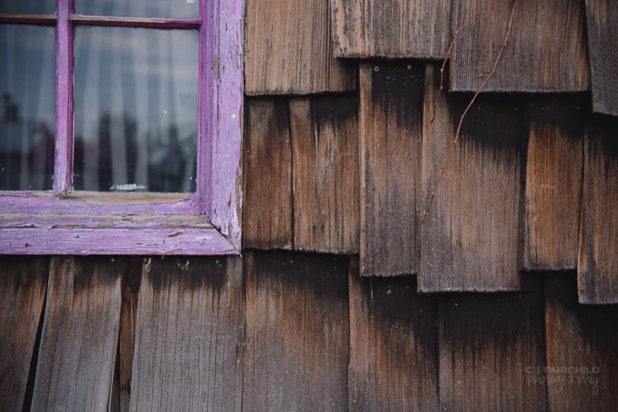 purple-cfairchildphotography