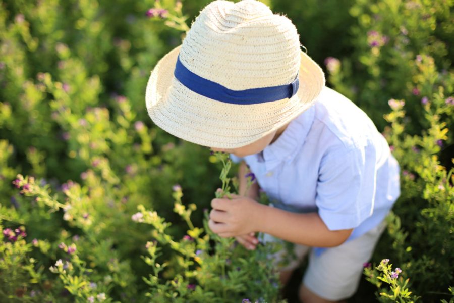 Wisconsin Sunflower Family Session, family sessions, what to wear for family sessions