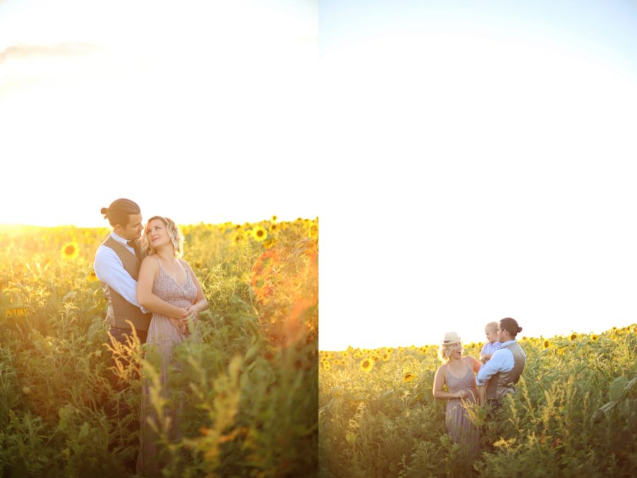 Wisconsin Sunflower Family Session, family sessions, what to wear for family sessions