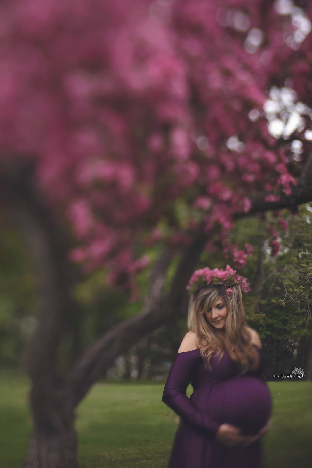 freelensed maternity pictures, the daily story