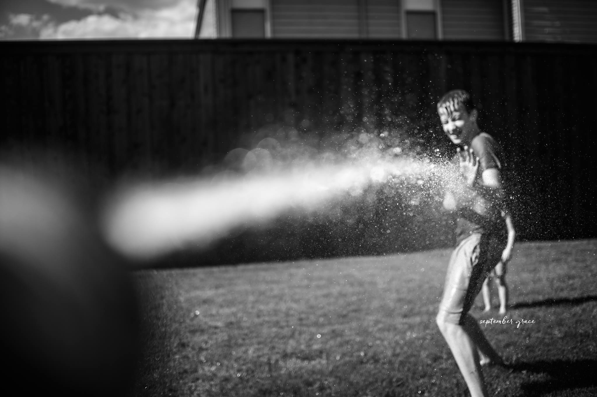 sprinkler pictures, the daily story