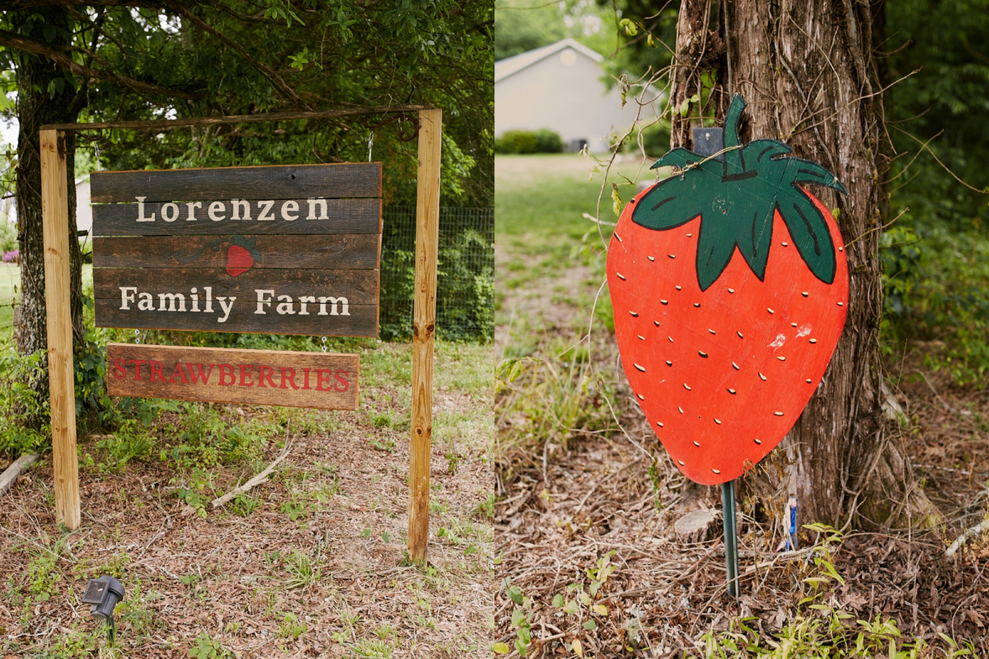 Tennessee Strawberry Field Anniversary Session, engagement session ideas, styled shoots