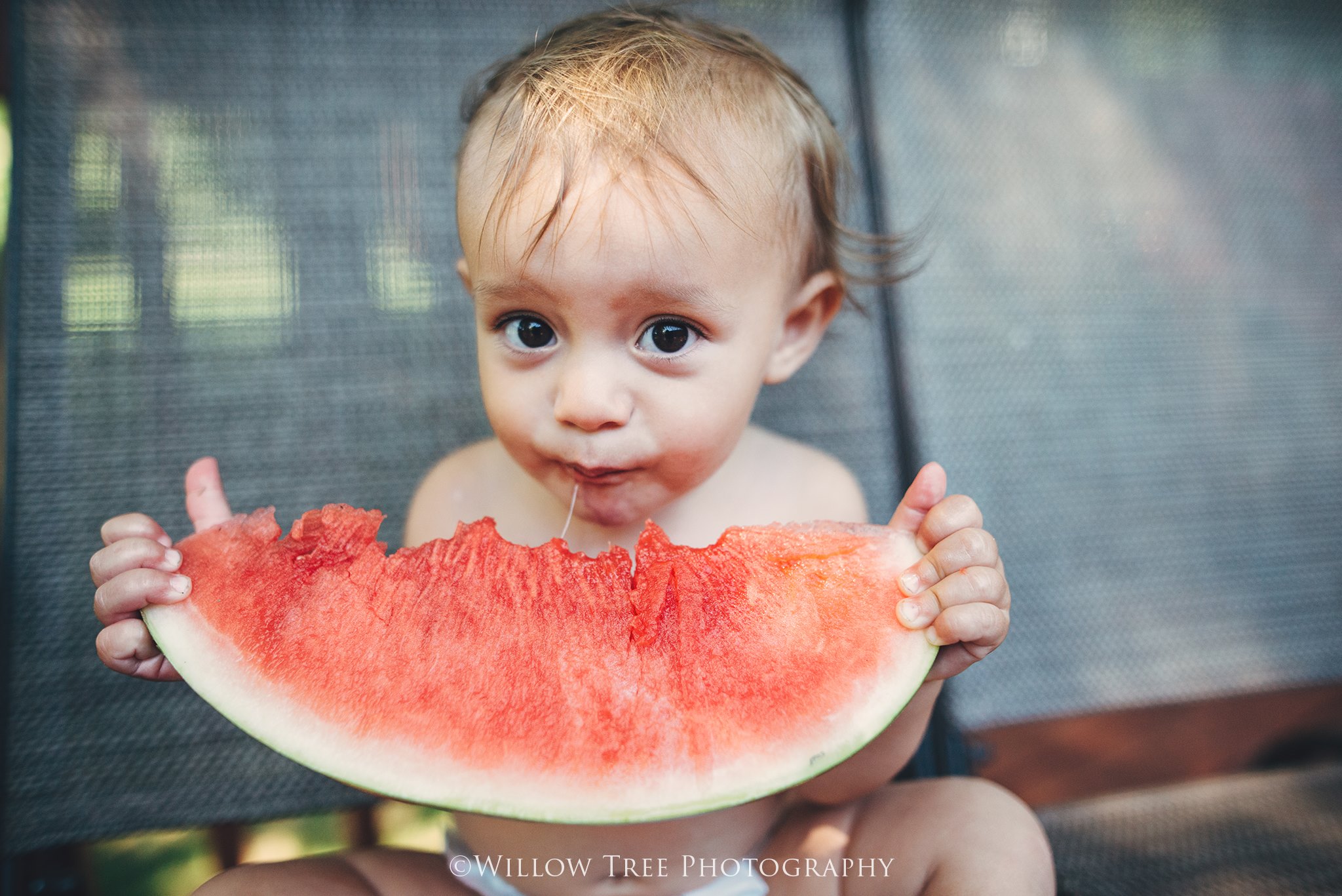 watermelon pictures, daily fan favorite