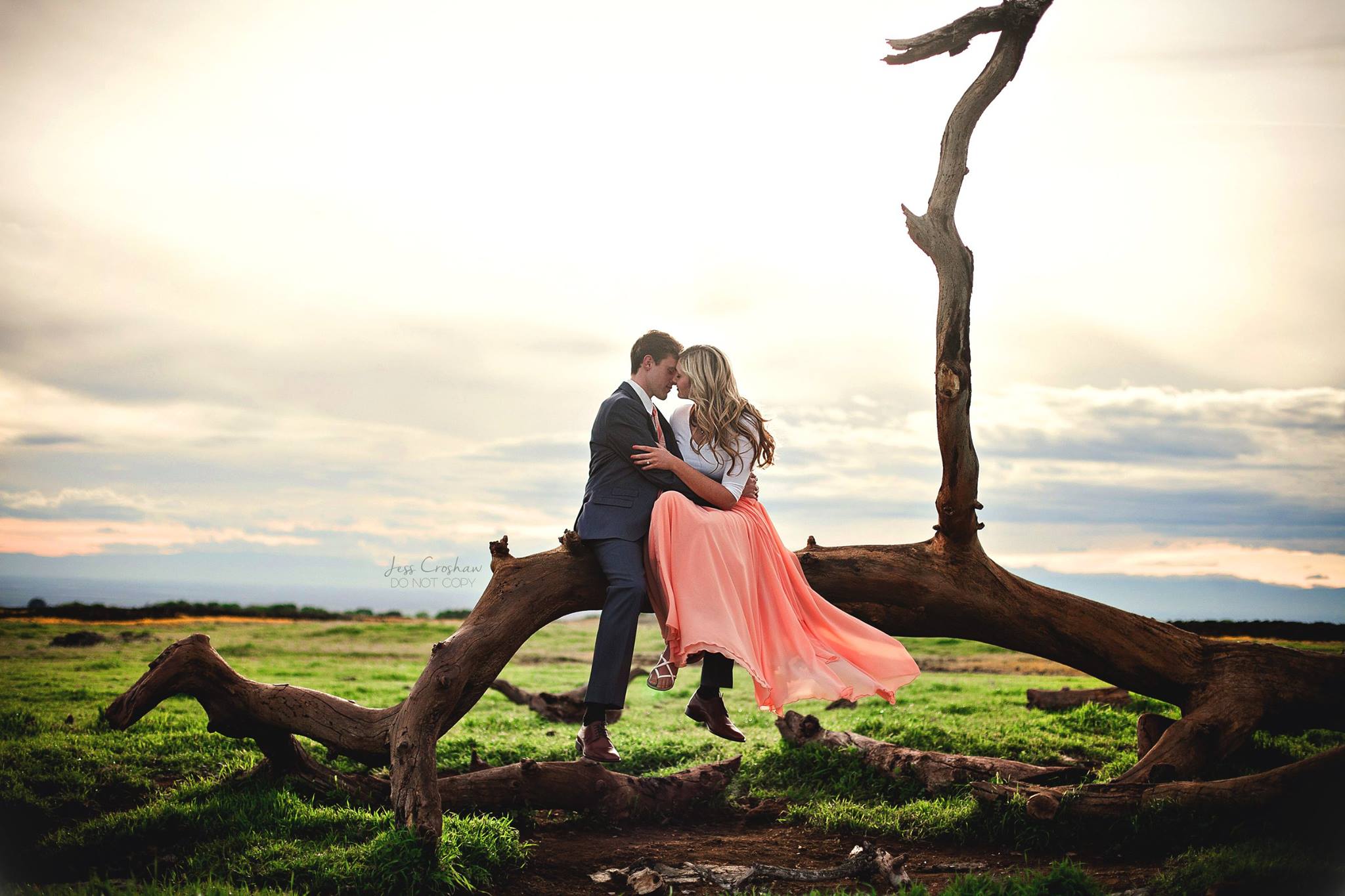 engagement pictures, the daily story