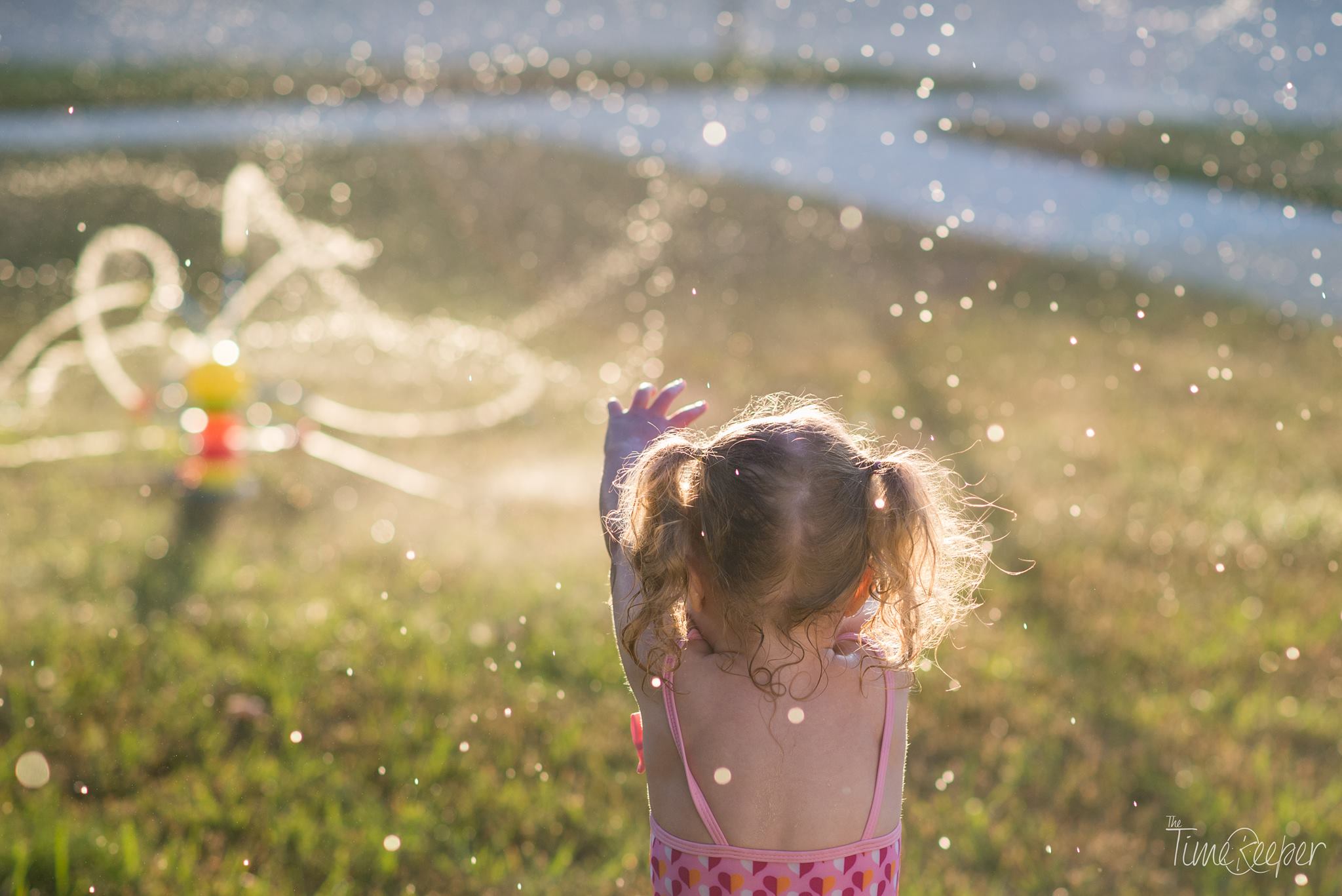 sprinkler pictures, the daily story