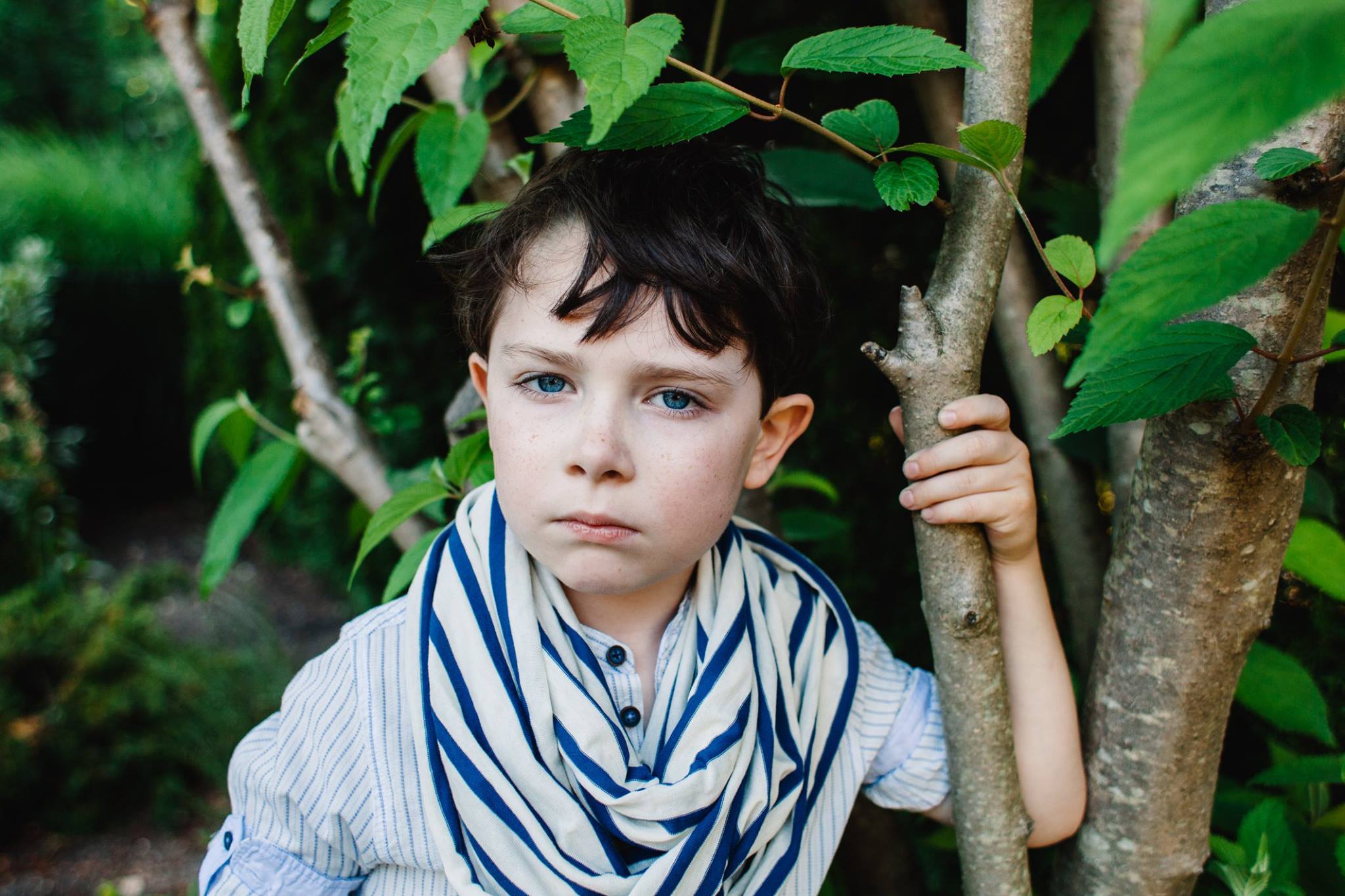 boy portraits, the daily story