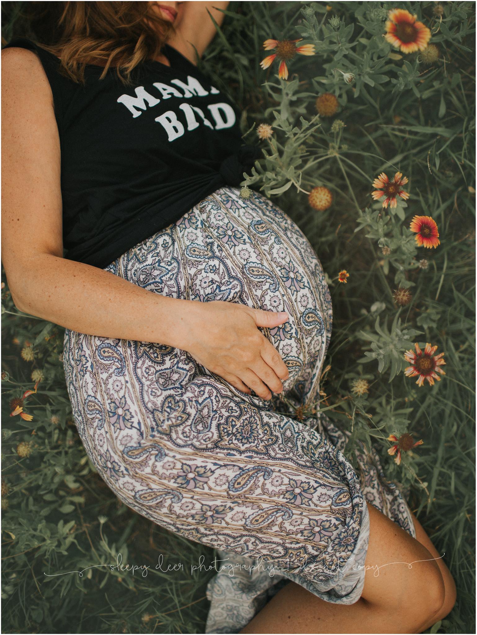 maternity pictures, mama bird, the daily story