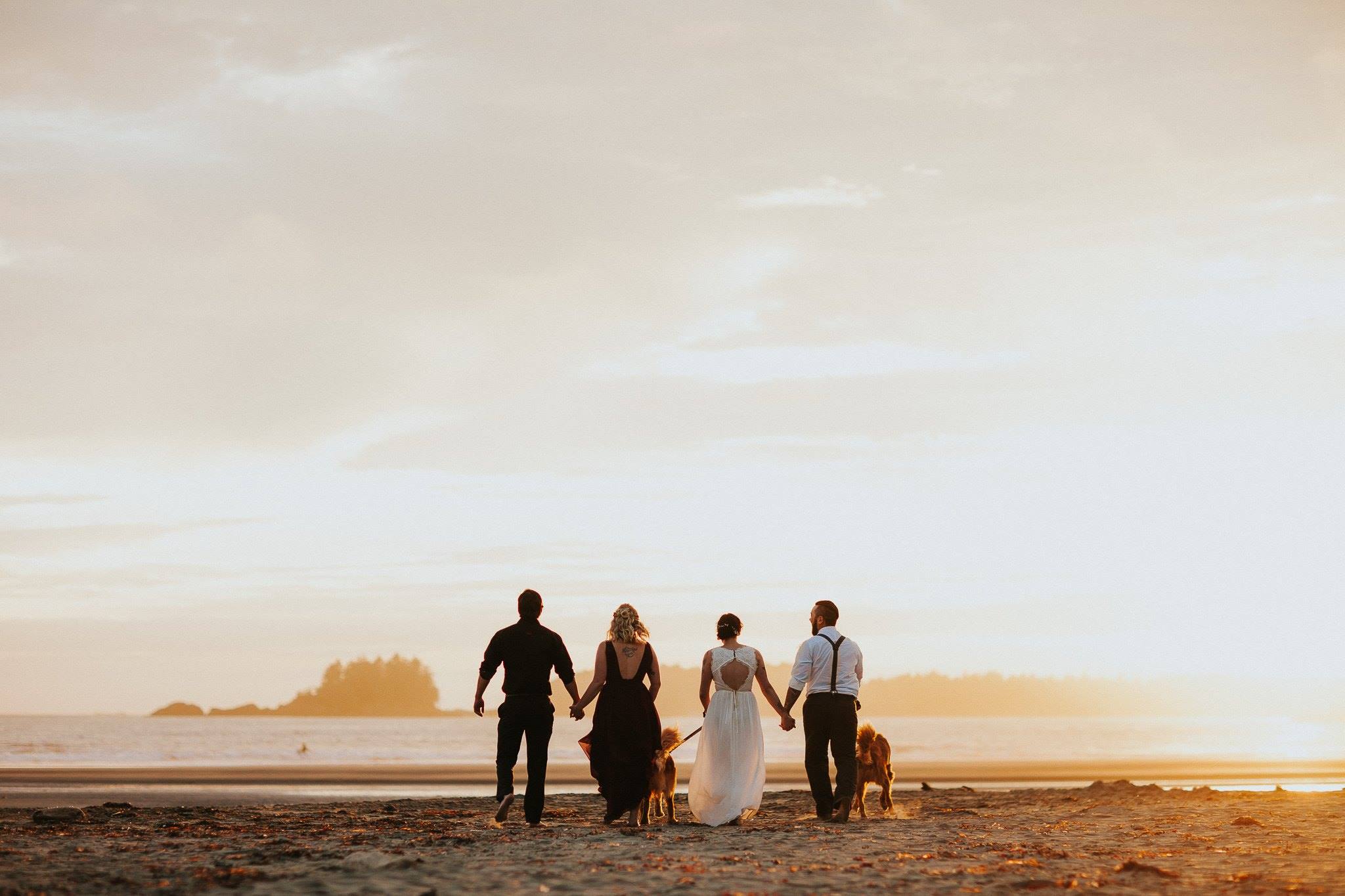 wedding pictures on the beach, the daily story