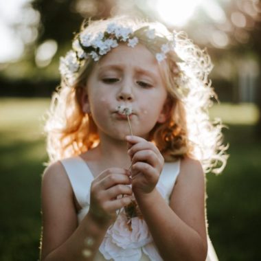 blowing flowers, the daily story