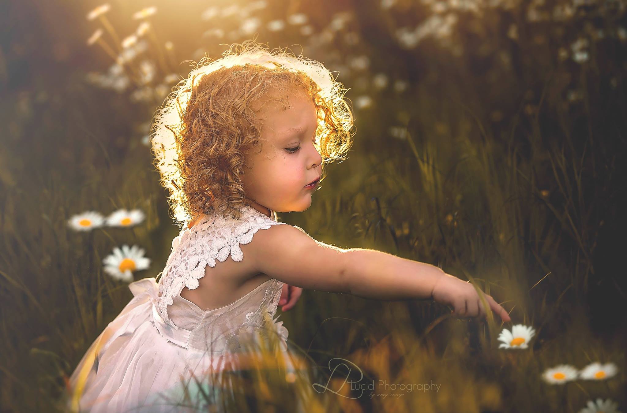 little girl and flower pictures, the daily story
