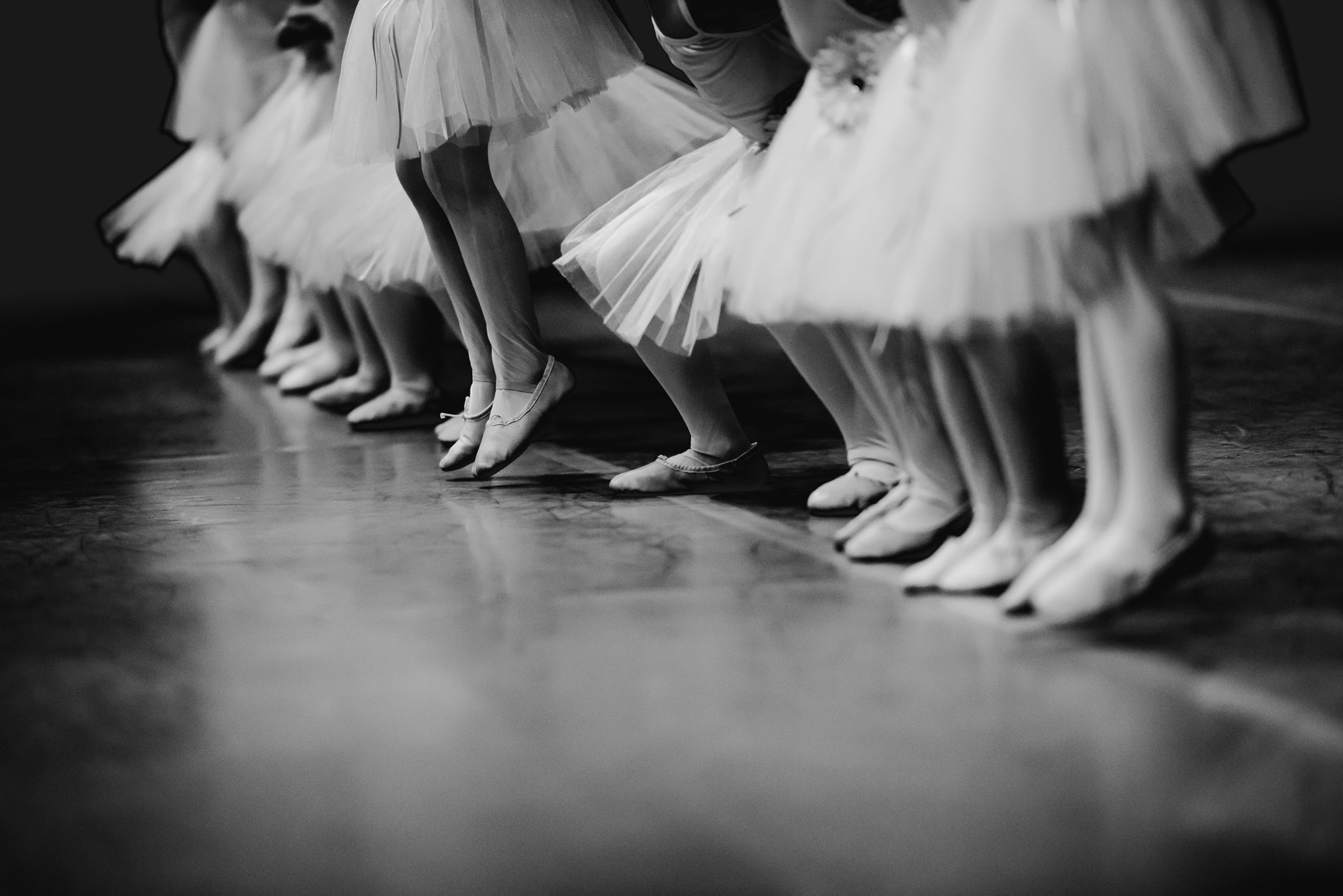 ballerinas, the daily story