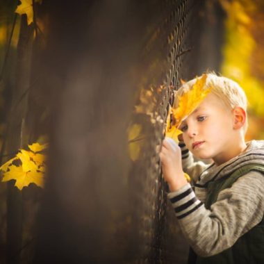 fall kid pictures, the daily story