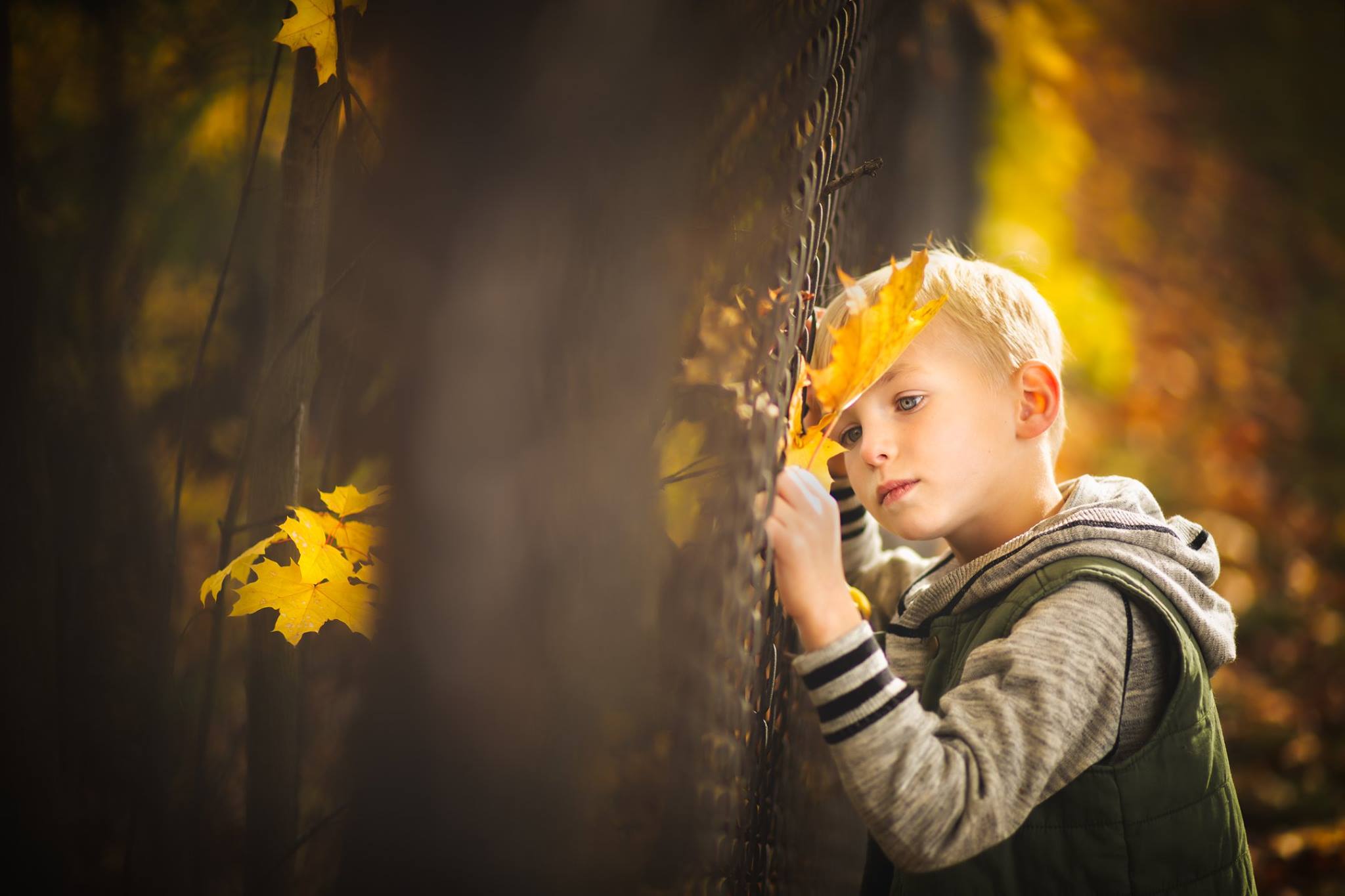 fall kid pictures, the daily story
