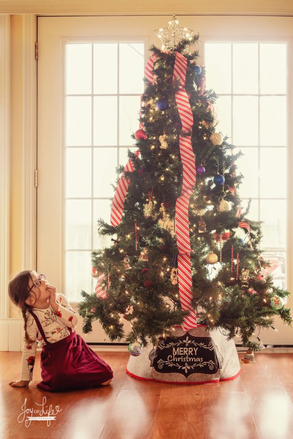 christmas picture ideas, the daily story