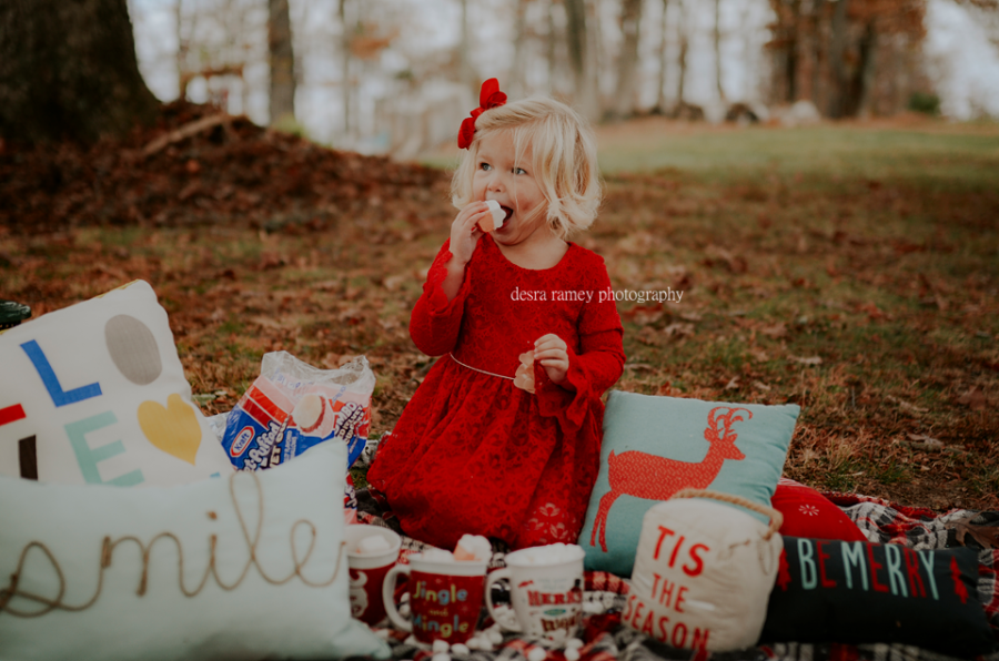 christmas picture ideas, the daily story