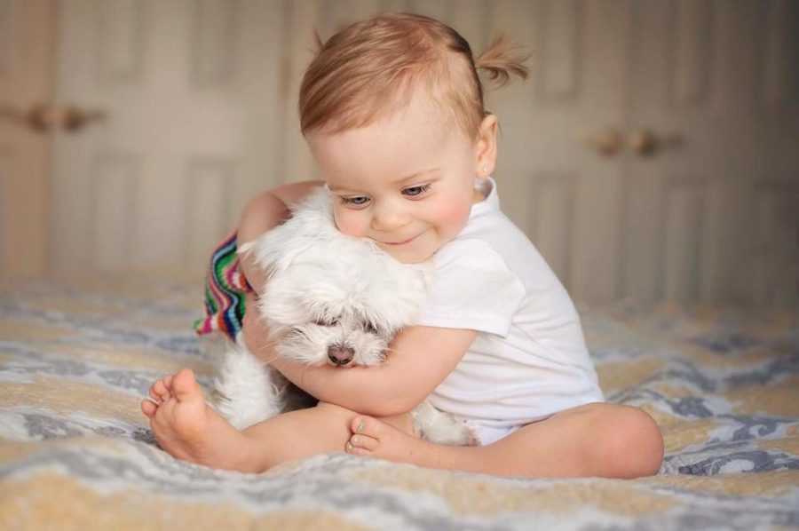 baby pictures with pets, the daily story