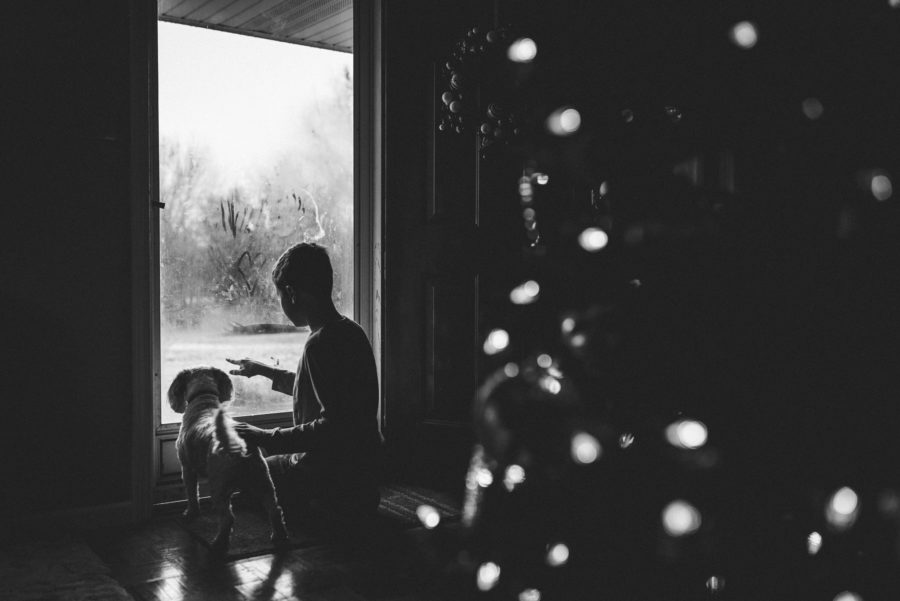 christmas tree pictures, the daily story