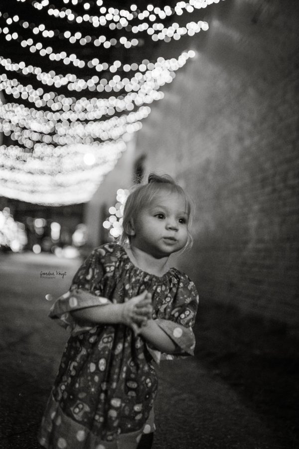 christmas lights, the daily story
