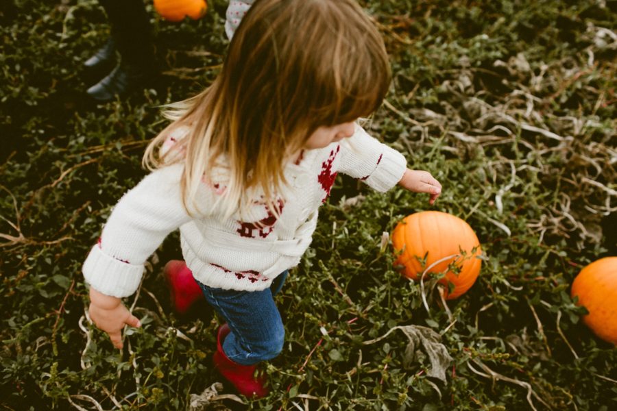 kids finding pumpkin, lifestyle photography, Family Pumpkin Patch Adventure in British Columbia