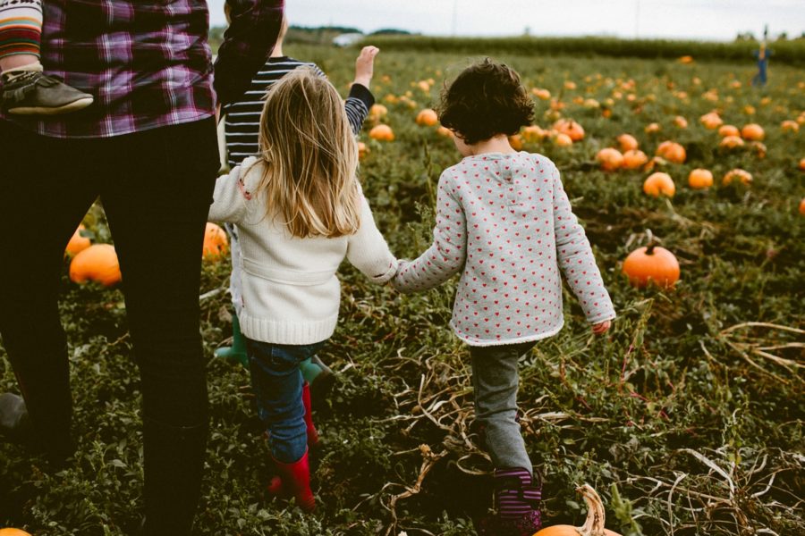 kids finding pumpkin, lifestyle photography, Family Pumpkin Patch Adventure in British Columbia