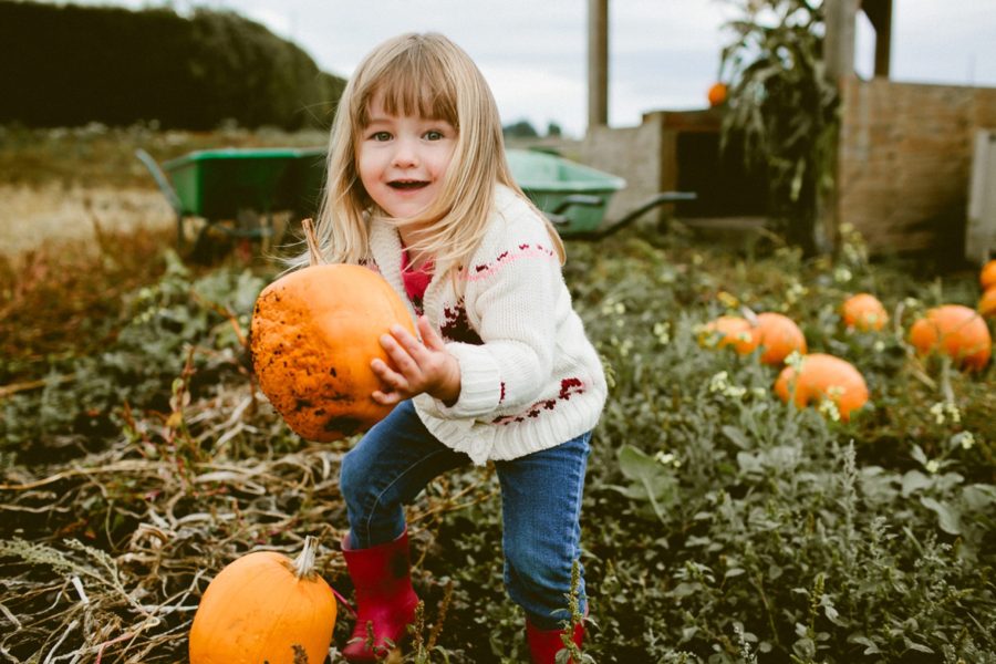 little girl holding pumpkin, lifestyle photography, Family Pumpkin Patch Adventure in British Columbia