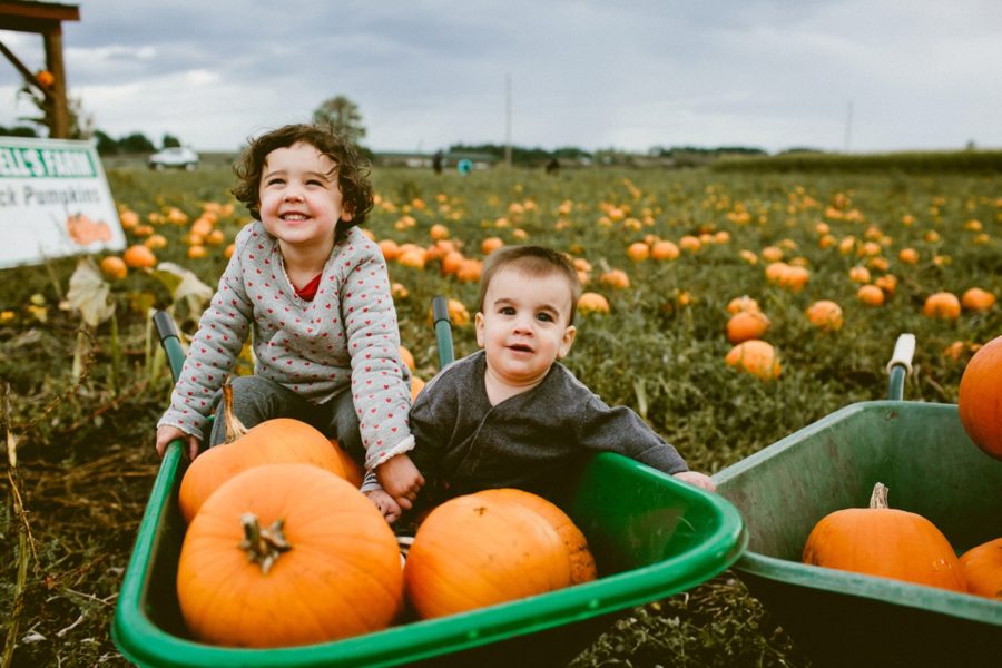 kids sitting in wheelbarrow, lifestyle photography, Family Pumpkin Patch Adventure in British Columbia