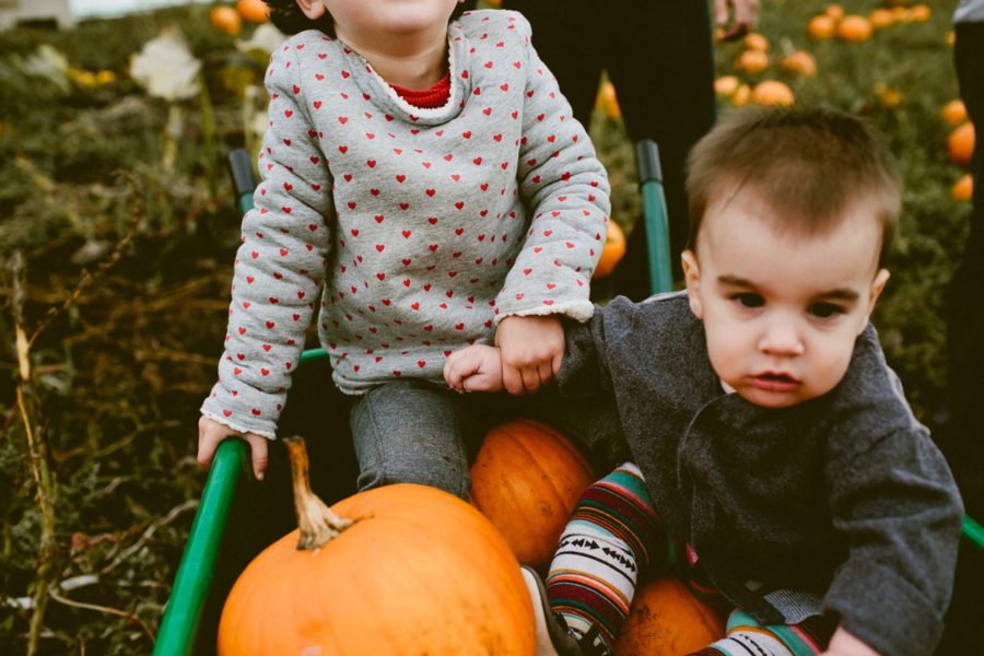 kids sitting in wheelbarrow, lifestyle photography, Family Pumpkin Patch Adventure in British Columbia
