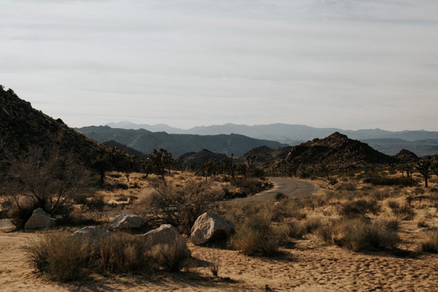 desert landscape photo, Moody Couples Session at Joshua Tree
