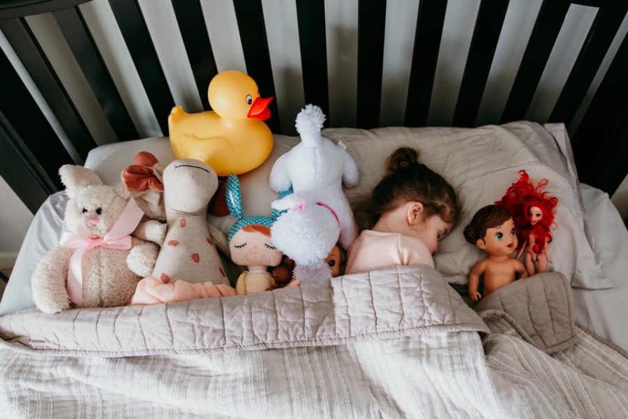 overhead shot of girl in bed with her stuffed animals, Daily Fan Favorite on Beyond the Wanderlust