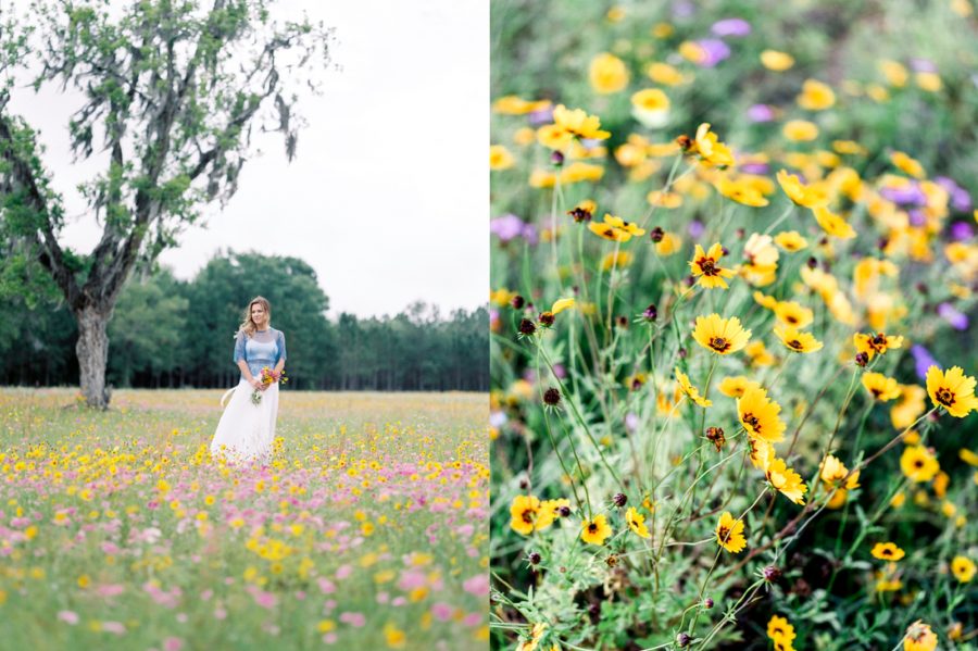 Featured image of post Wildflower Fields In Florida : Where to see spring wildflowers.