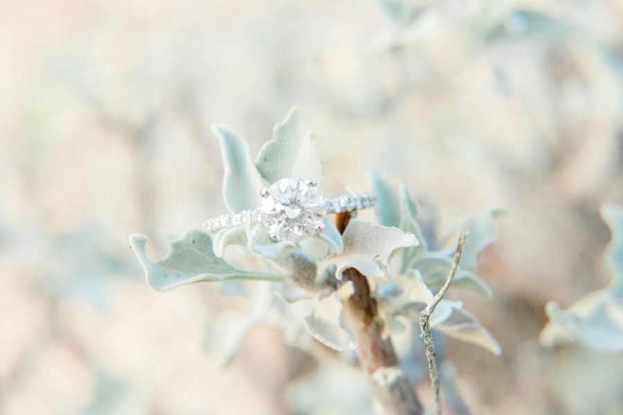 Detail shot of ring on tree branch, Close up of engagement ring, Canyon Lake Engagement Pictures in Arizona