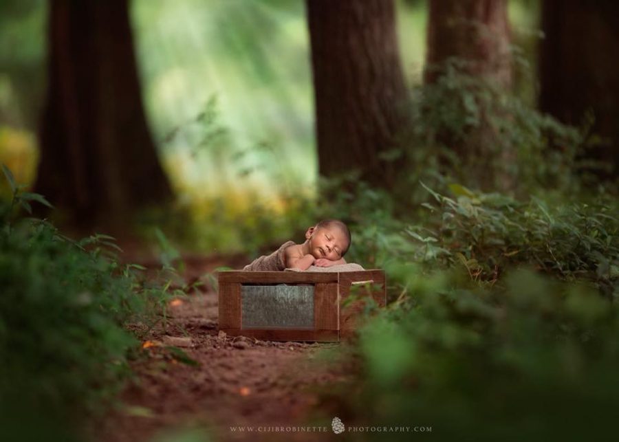 newborn sleeping in box in woods, Ciji B Robinette Photography - Daily Fan Favorite