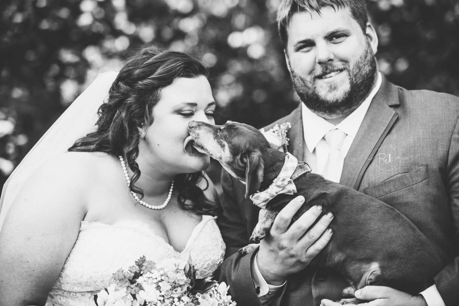 Dog licking bride