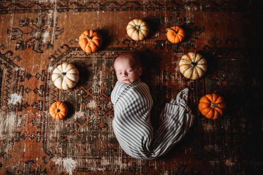 Newborn swaddled surrounded by little pumpkins, Beyond the Wanderlust Daily Fan Favorite