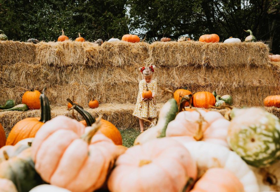fall pumpkin pictures, little girl at pumpkin patch, fall fashion