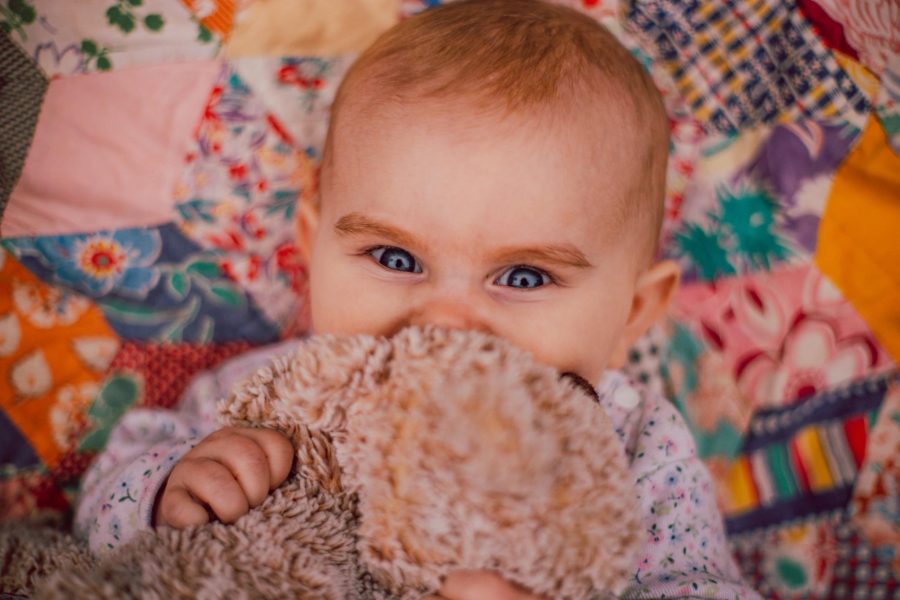 Baby squeezing stuffed animal hard just her eyes peeking out from behind, Beyond the Wanderlust Daily Fan Favorites 