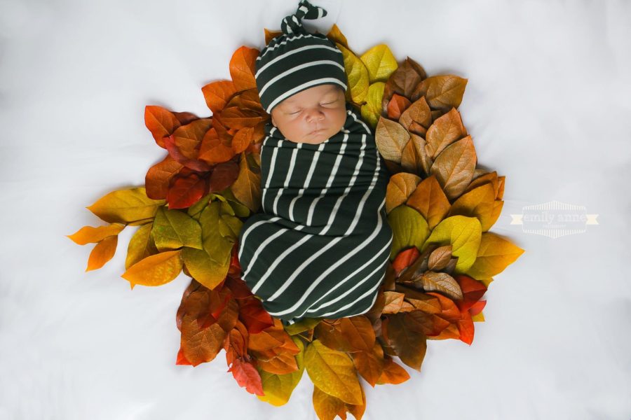 Newborn swaddled and sleeping on leaf wreath, Emily Anne Photography Daily Fan Favorite