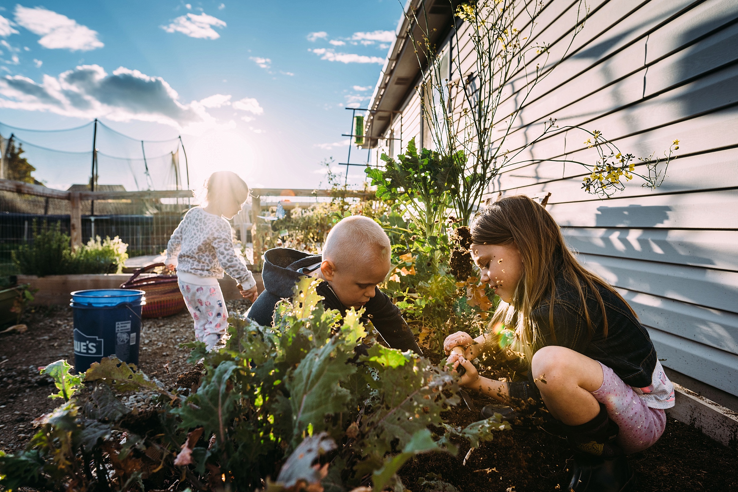 lifestyle and documentary photography, backlit pictures, kids in garden