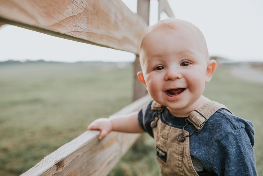 First birthday pictures, little kid on farm, little boy standing at cow pasture fence 