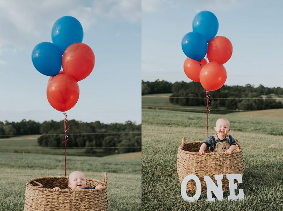 First birthday pictures, little kid on farm, little boy in basket with ONE and balloons