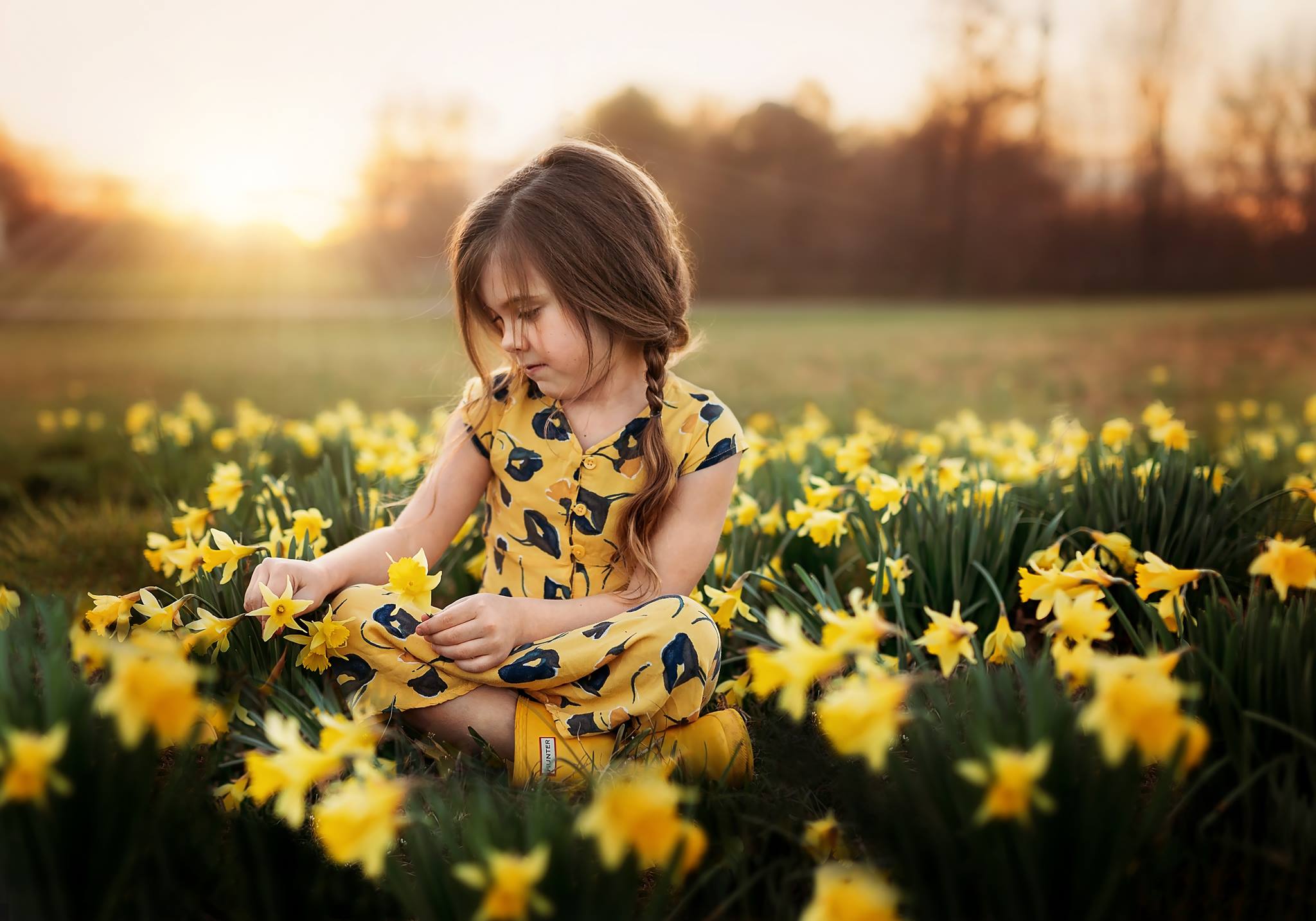 spring pictures of kids, little girl sitting in daffodils, golden hour sun