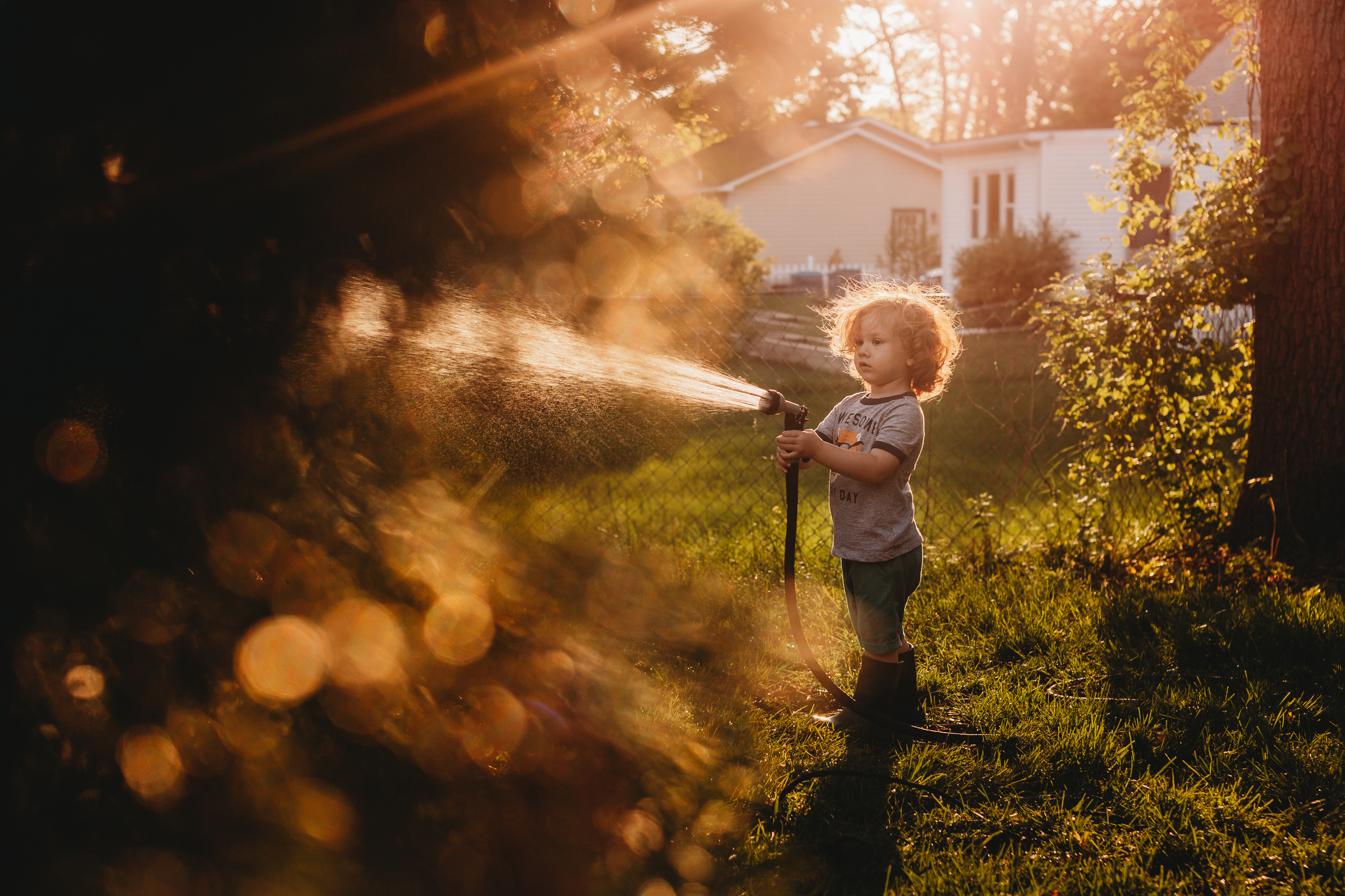 little boy with curly hair spraying hose - beautiful light - colorful spring greens
