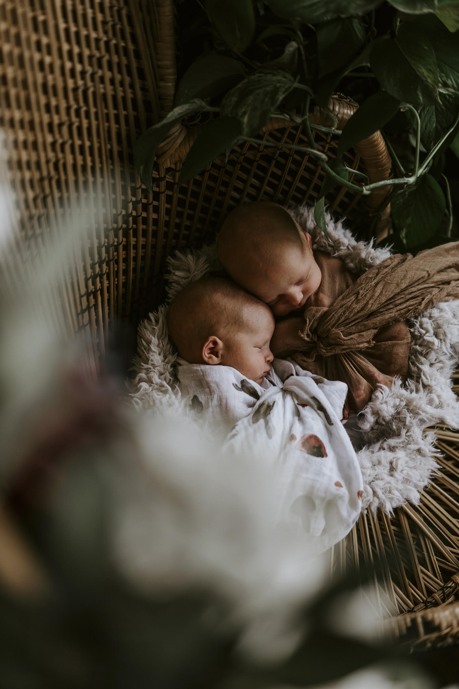 twins, baby, sibling, lifestyle, inhome newborn lifestyle pictures